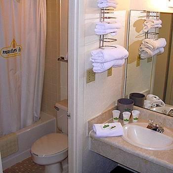 Motel 6 Columbia - University Of South Carolina Δωμάτιο φωτογραφία